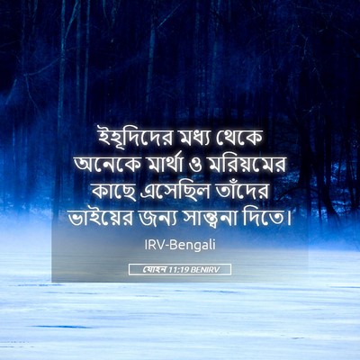 Picture 05 - যোহন 11:19 BENIRV - ইহূদিদের মধ্য - Bible Verse Picture