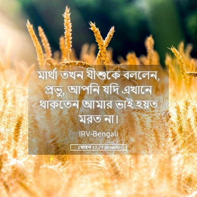 Picture 05 - যোহন 11:21 BENIRV - মার্থা তখন যীশুকে - Bible Verse Picture