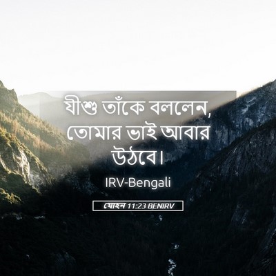 Picture 05 - যোহন 11:23 BENIRV - যীশু তাঁকে বললেন, - Bible Verse Picture