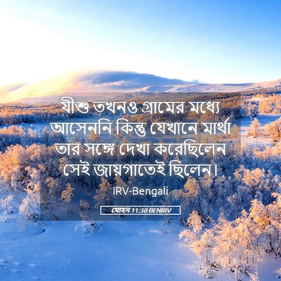 Picture 05 - যোহন 11:30 BENIRV - যীশু তখনও গ্রামের - Bible Verse Picture
