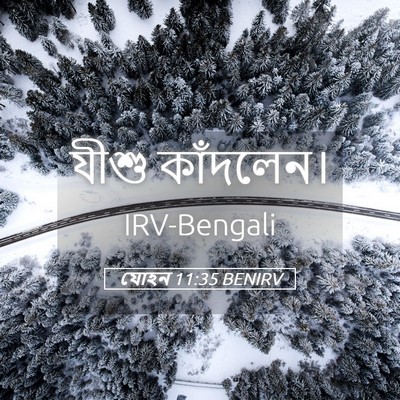 Picture 05 - যোহন 11:35 BENIRV - যীশু - Bible Verse Picture