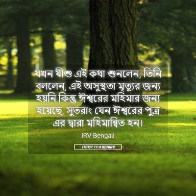 Picture 05 - যোহন 11:4 BENIRV - যখন যীশু এই কথা - Bible Verse Picture