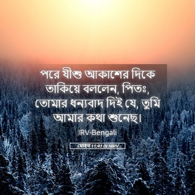 Picture 05 - যোহন 11:41 BENIRV - পরে যীশু আকাশের - Bible Verse Picture
