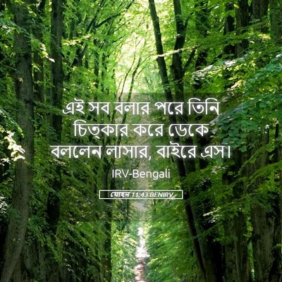 Picture 05 - যোহন 11:43 BENIRV - এই সব বলার পরে তিনি - Bible Verse Picture