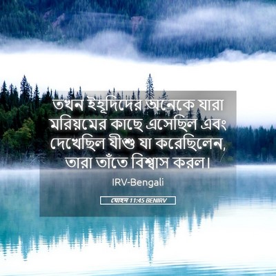 Picture 05 - যোহন 11:45 BENIRV - তখন ইহূদিদের - Bible Verse Picture