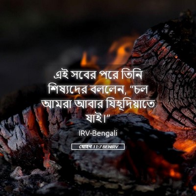 Picture 05 - যোহন 11:7 BENIRV - এই সবের পরে তিনি - Bible Verse Picture
