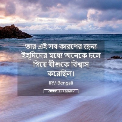 Picture 05 - যোহন 12:11 BENIRV - তার এই সব কারণের - Bible Verse Picture