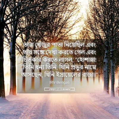 Picture 05 - যোহন 12:13 BENIRV - তারা খেঁজুর পাতা - Bible Verse Picture