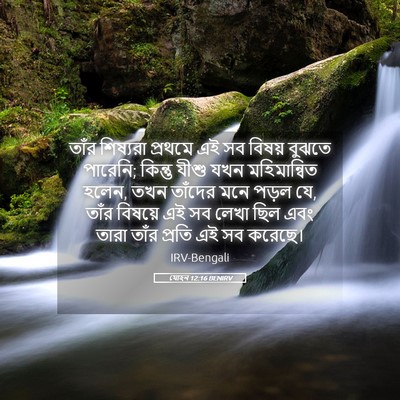 Picture 05 - যোহন 12:16 BENIRV - তাঁর শিষ্যরা - Bible Verse Picture