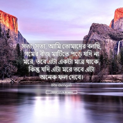 Picture 05 - যোহন 12:24 BENIRV - সত্য, সত্য, আমি - Bible Verse Picture