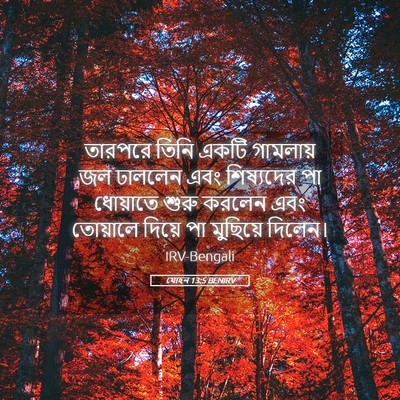 Picture 05 - যোহন 13:5 BENIRV - তারপরে তিনি একটি - Bible Verse Picture
