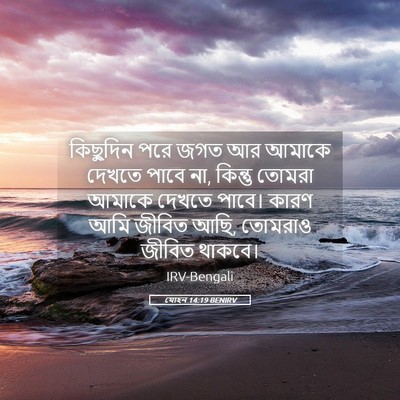 Picture 05 - যোহন 14:19 BENIRV - কিছুদিন পরে জগত আর - Bible Verse Picture