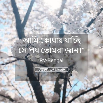 Picture 05 - যোহন 14:4 BENIRV - আমি কোথায় যাচ্ছি - Bible Verse Picture