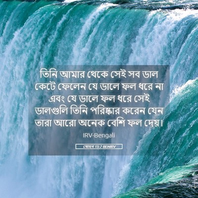 Picture 05 - যোহন 15:2 BENIRV - তিনি আমার থেকে সেই - Bible Verse Picture