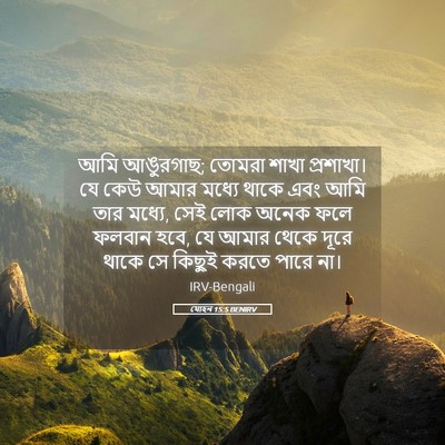 Picture 05 - যোহন 15:5 BENIRV - আমি আঙুরগাছ; তোমরা - Bible Verse Picture