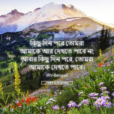 Picture 05 - যোহন 16:16 BENIRV - কিছু দিন পরে তোমরা - Bible Verse Picture