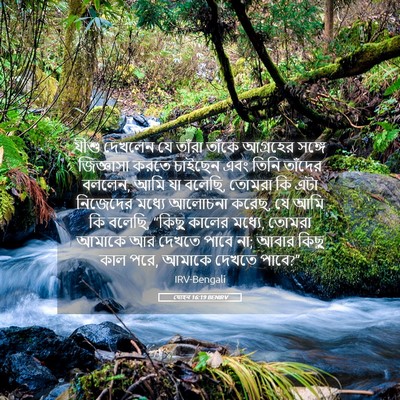 Picture 05 - যোহন 16:19 BENIRV - যীশু দেখলেন যে - Bible Verse Picture