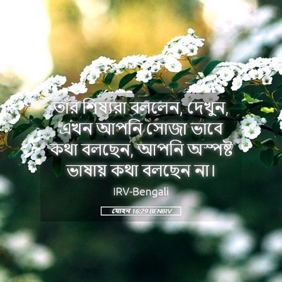 Picture 05 - যোহন 16:29 BENIRV - তাঁর শিষ্যরা - Bible Verse Picture