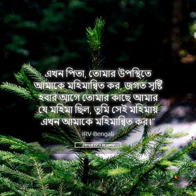 Picture 05 - যোহন 17:5 BENIRV - এখন পিতা, তোমার - Bible Verse Picture