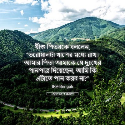 Picture 05 - যোহন 18:11 BENIRV - যীশু পিতরকে বললেন, - Bible Verse Picture
