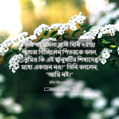 Picture 05 - যোহন 18:17 BENIRV - তারপর মহিলা দাসী - Bible Verse Picture