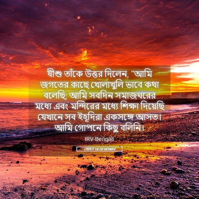 Picture 05 - যোহন 18:20 BENIRV - যীশু তাঁকে উত্তর - Bible Verse Picture
