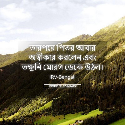 Picture 05 - যোহন 18:27 BENIRV - তারপরে পিতর আবার - Bible Verse Picture