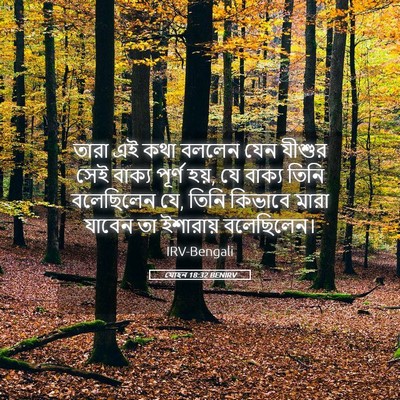 Picture 05 - যোহন 18:32 BENIRV - তারা এই কথা বললেন - Bible Verse Picture