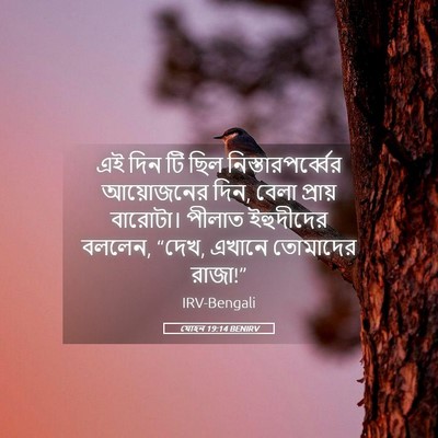 Picture 05 - যোহন 19:14 BENIRV - এই দিন টি ছিল - Bible Verse Picture