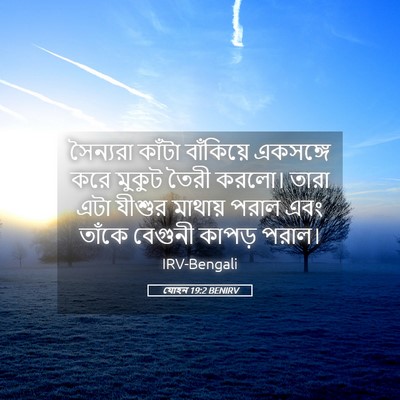 Picture 05 - যোহন 19:2 BENIRV - সৈন্যরা কাঁটা - Bible Verse Picture