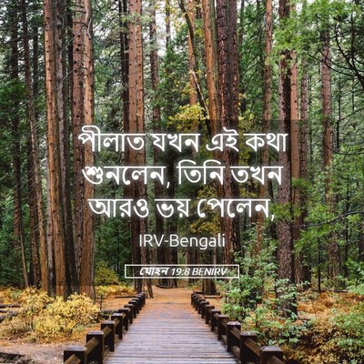 Picture 05 - যোহন 19:8 BENIRV - পীলাত যখন এই কথা - Bible Verse Picture