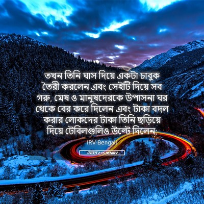 Picture 05 - যোহন 2:15 BENIRV - তখন তিনি ঘাস দিয়ে - Bible Verse Picture