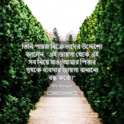 Picture 05 - যোহন 2:16 BENIRV - তিনি পায়রা - Bible Verse Picture