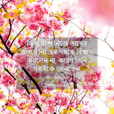 Picture 05 - যোহন 2:24 BENIRV - কিন্তু যীশু নিজে - Bible Verse Picture