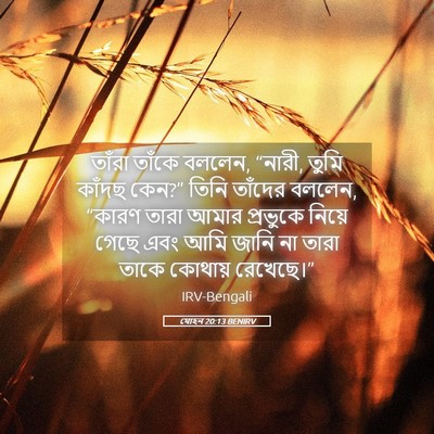 Picture 05 - যোহন 20:13 BENIRV - তাঁরা তাঁকে বললেন, - Bible Verse Picture