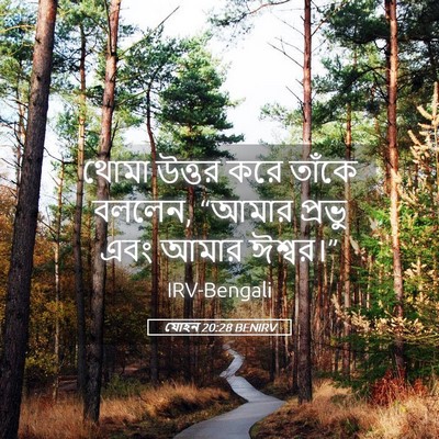 Picture 05 - যোহন 20:28 BENIRV - থোমা উত্তর করে - Bible Verse Picture