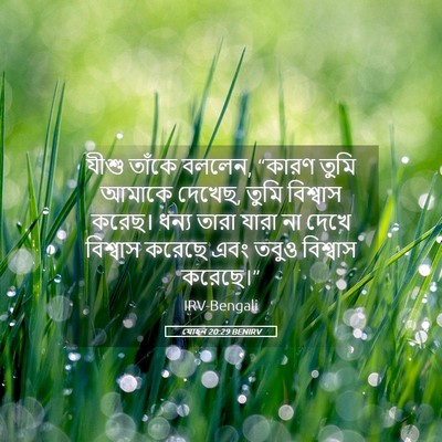 Picture 05 - যোহন 20:29 BENIRV - যীশু তাঁকে বললেন, - Bible Verse Picture