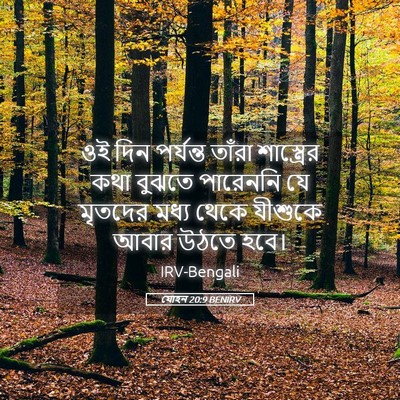 Picture 05 - যোহন 20:9 BENIRV - ওই দিন পর্যন্ত - Bible Verse Picture