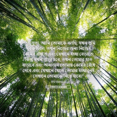 Picture 05 - যোহন 21:18 BENIRV - সত্য, সত্য, আমি - Bible Verse Picture
