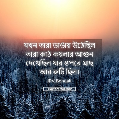 Picture 05 - যোহন 21:9 BENIRV - যখন তারা ডাঙায় - Bible Verse Picture