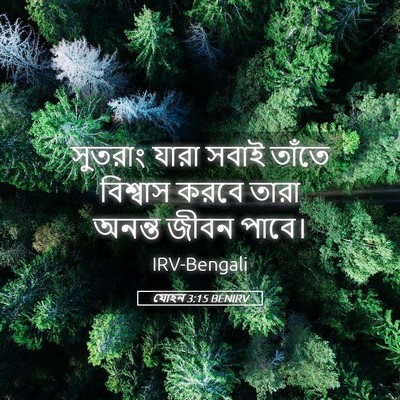 Picture 05 - যোহন 3:15 BENIRV - সুতরাং যারা সবাই - Bible Verse Picture
