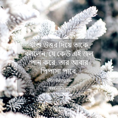 Picture 05 - যোহন 4:13 BENIRV - যীশু উত্তর দিয়ে - Bible Verse Picture