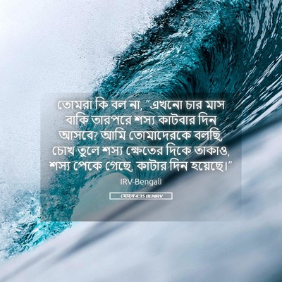 Picture 05 - যোহন 4:35 BENIRV - তোমরা কি বল না, - Bible Verse Picture