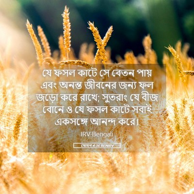 Picture 05 - যোহন 4:36 BENIRV - যে ফসল কাটে সে বেতন - Bible Verse Picture
