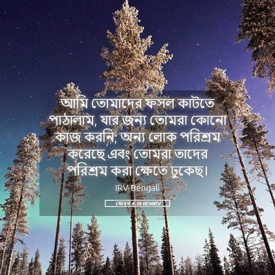 Picture 05 - যোহন 4:38 BENIRV - আমি তোমাদের ফসল - Bible Verse Picture
