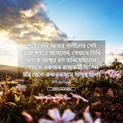 Picture 05 - যোহন 4:46 BENIRV - পরে তিনি আবার - Bible Verse Picture