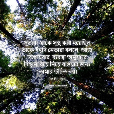 Picture 05 - যোহন 5:10 BENIRV - সুতরাং যাকে সুস্থ - Bible Verse Picture