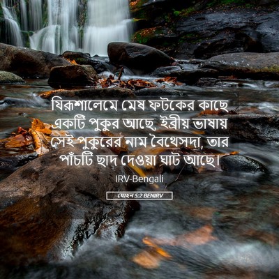 Picture 05 - যোহন 5:2 BENIRV - যিরূশালেমে মেষ - Bible Verse Picture