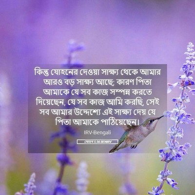 Picture 05 - যোহন 5:36 BENIRV - কিন্তু যোহনের - Bible Verse Picture