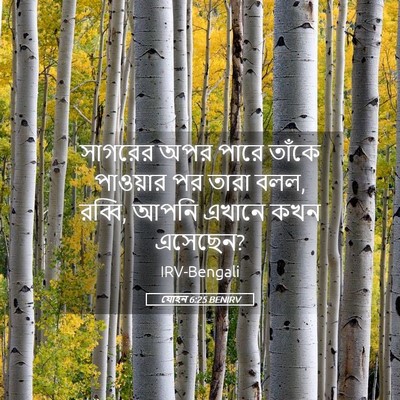 Picture 05 - যোহন 6:25 BENIRV - সাগরের অপর পারে - Bible Verse Picture